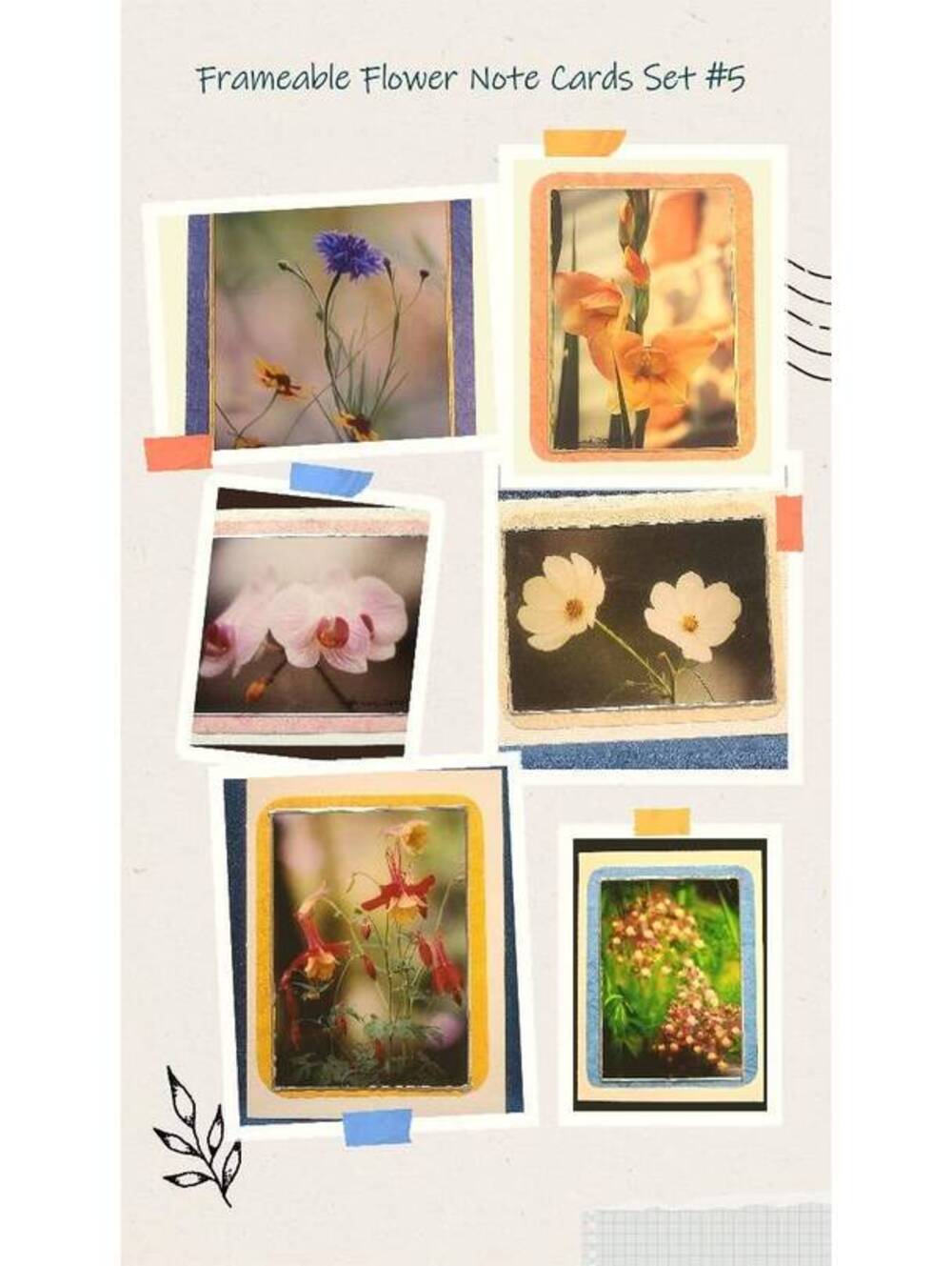 Flower Photo Note Cards: Frameable Floral Art, Set of 6